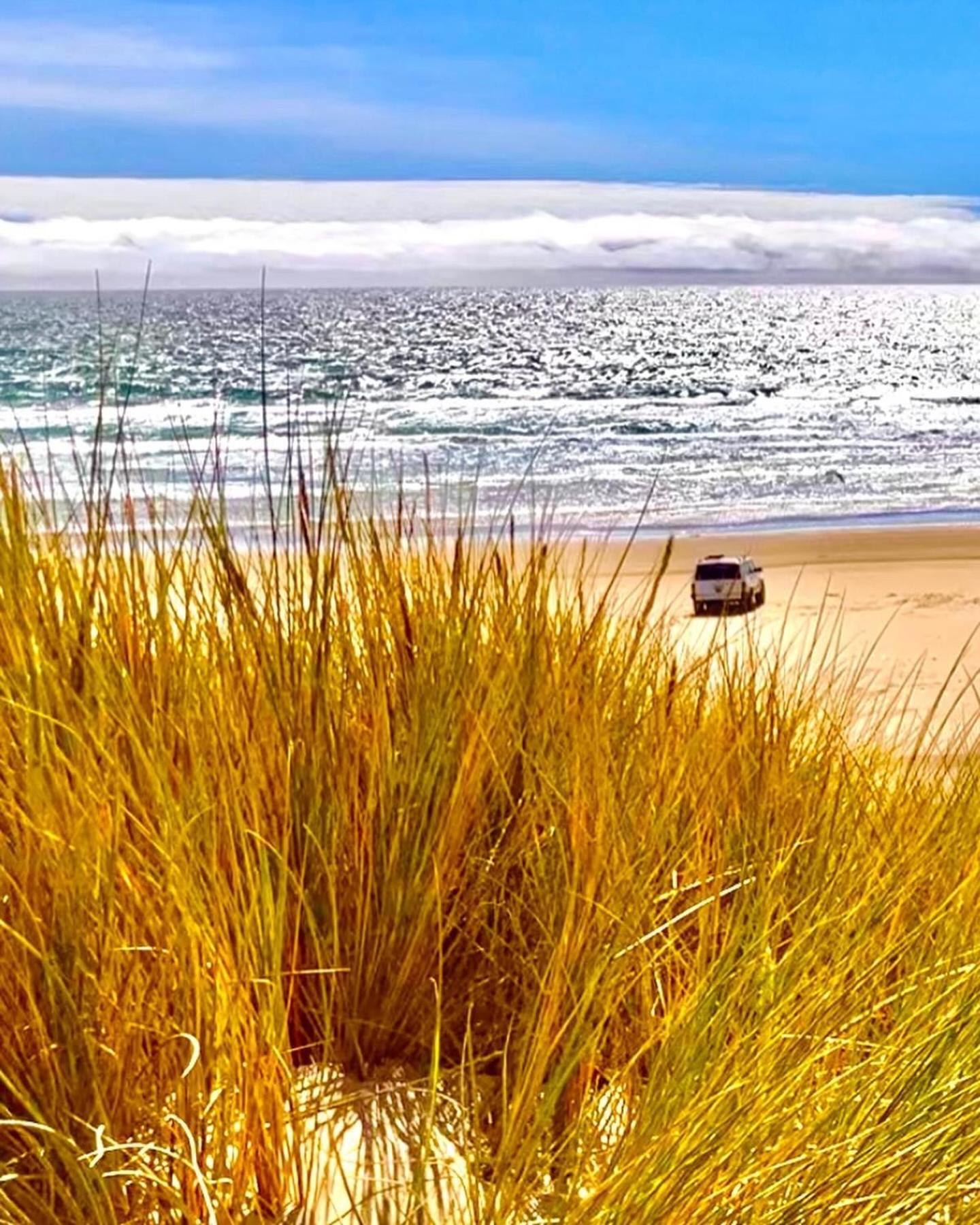 Tropical Retreat Close To Beach Grover Beach Exteriör bild